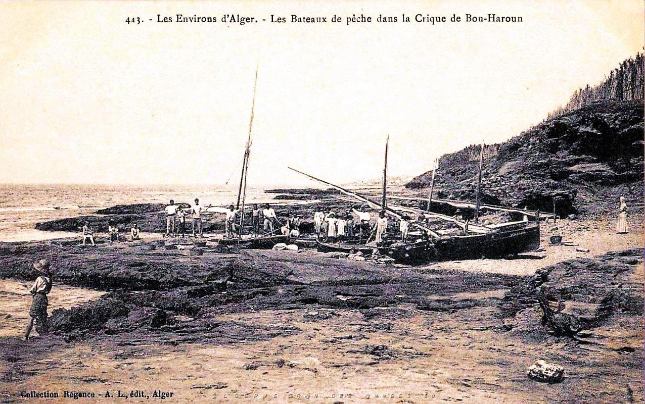 Bou-Haroun - Crique - Bateaux de peche.jpg